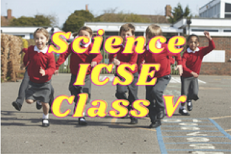 Science (ICSE) - Class V